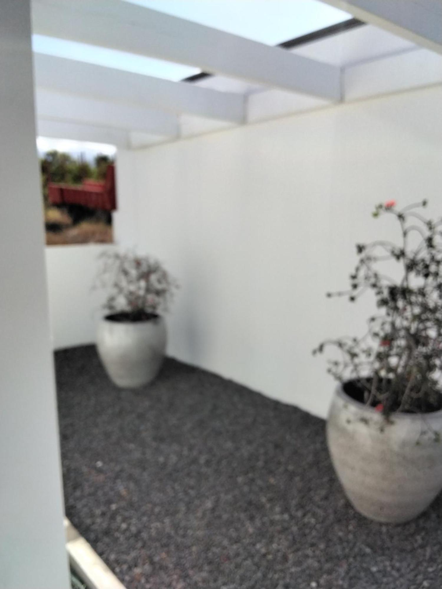 Canne Mapou1 2 Chambres Saint Pierre Rum bild